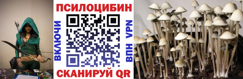 как найти наркотики  Бугульма  Галлюциногенные грибы прущие грибы 