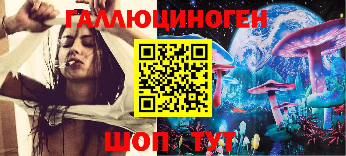 Бугульма  Псилоцибиновые грибы Cubensis  Вход с VPN 