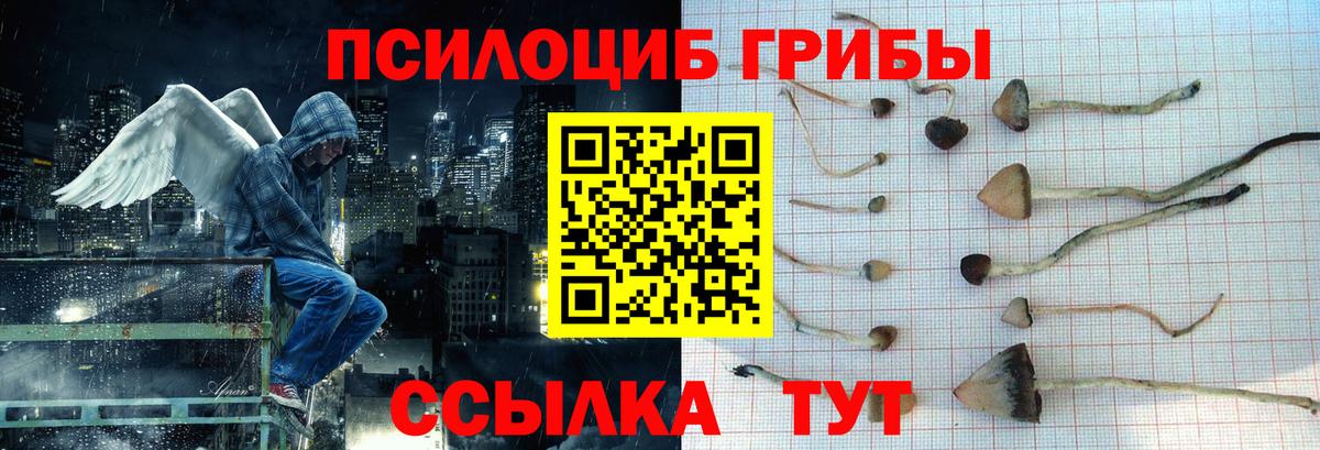 Галлюциногенные грибы ЛСД Бугульма