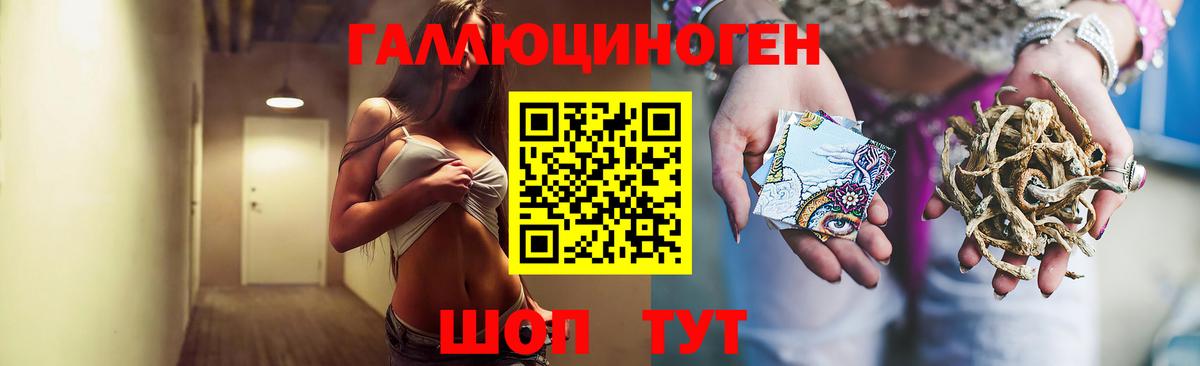 Галлюциногенные грибы Psilocybe Бугульма